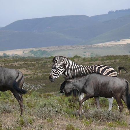 Nyaru Game Lodge Brandwag 外观 照片