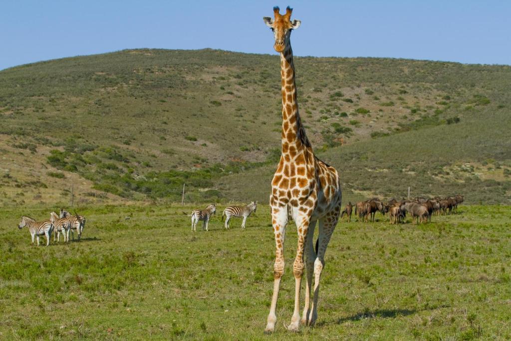 Nyaru Game Lodge Brandwag 外观 照片